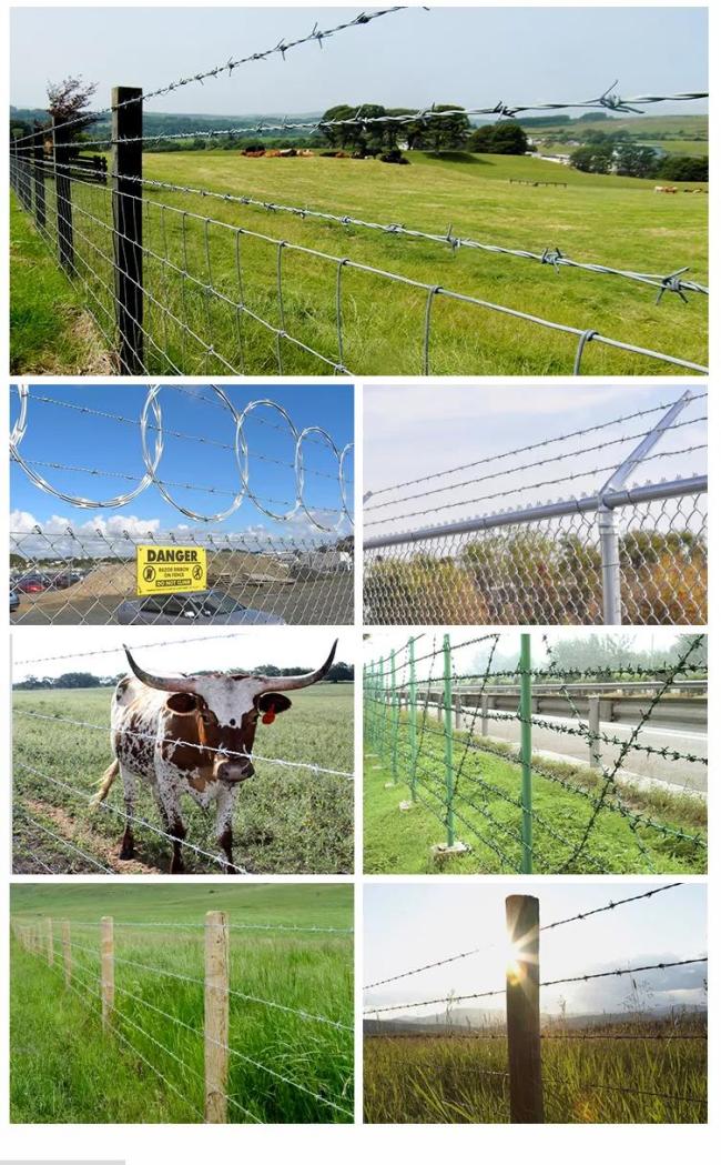 application of barbed wire